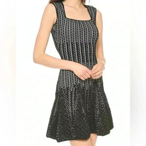 RVN Sleeveless sweater stretch fit and flare dress Size XS